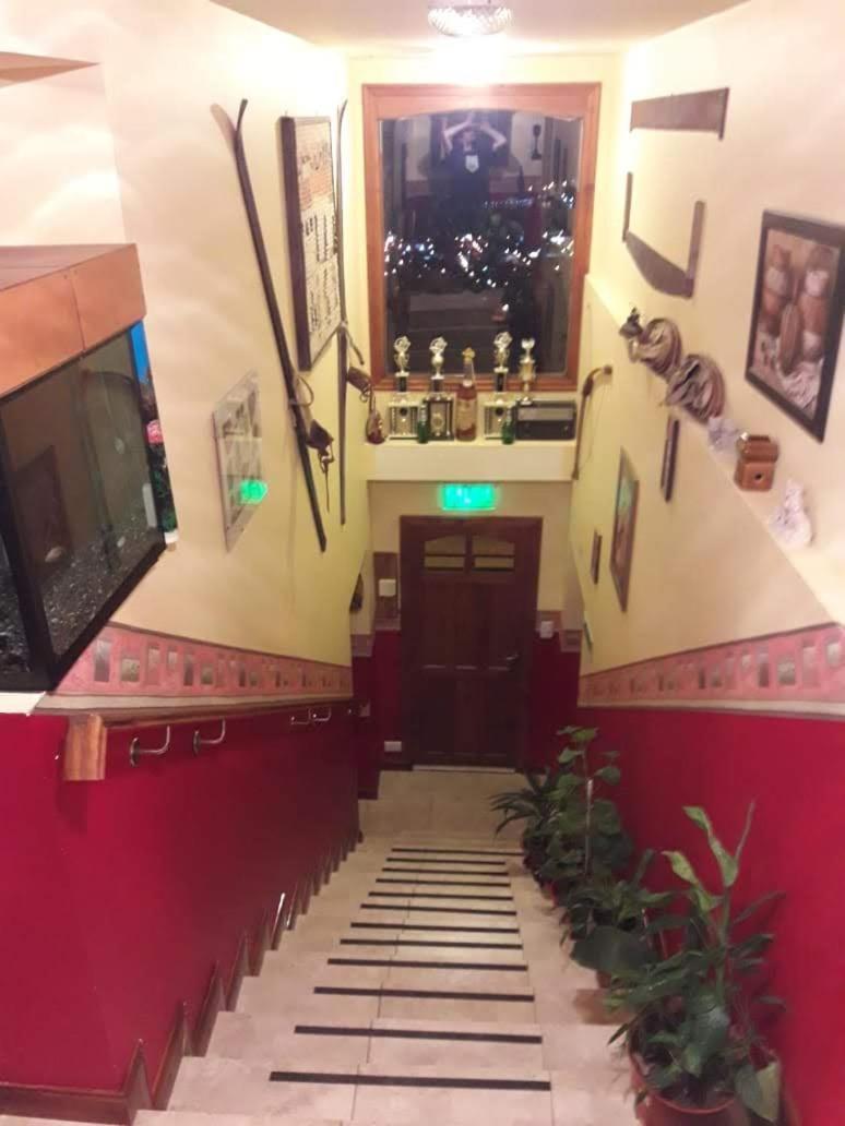 Mirador Del Beagle Hosteria 乌斯怀亚 外观 照片